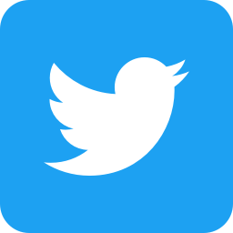 Twitter3_colored_svg-256.png